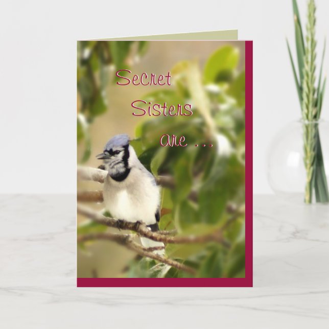Blue Jay 6435 Secret Sister - anpassen Karte (Vorderseite)