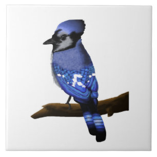 Blue Jay Art   Fliese