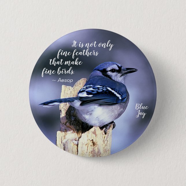 Blue Jay auf Post Wildlife Fotografy Nature Button (Vorderseite)
