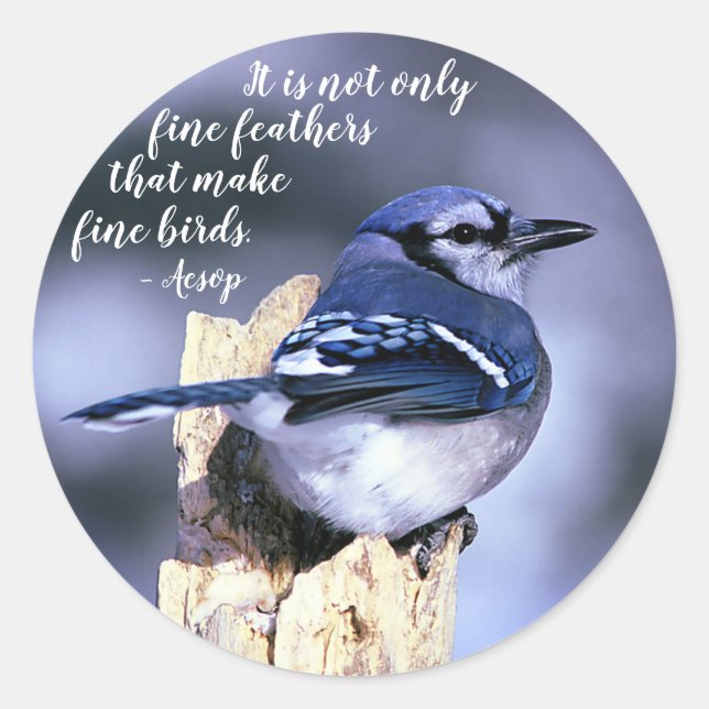 Blue Jay auf Post Wildlife Fotografy Nature Runder Aufkleber (Vorderseite)