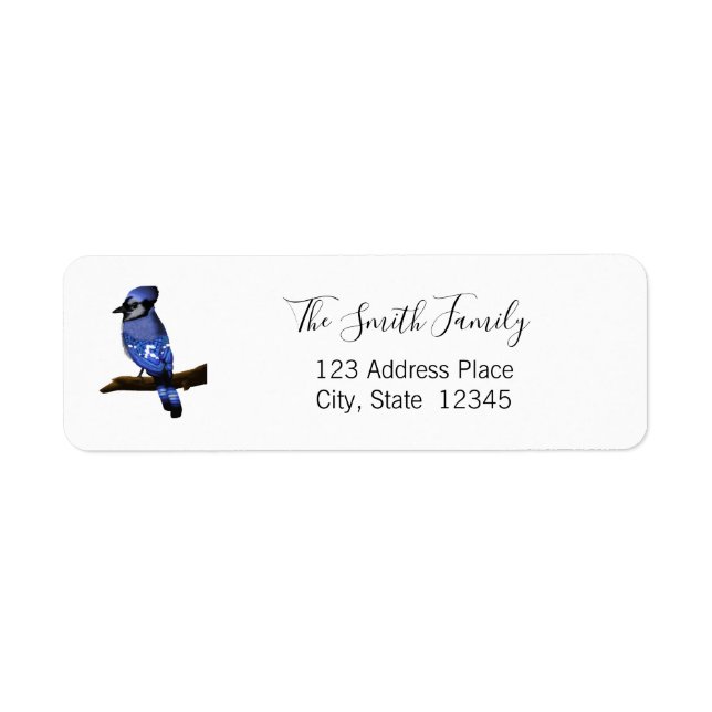 Blue Jay Bird (Vorne)