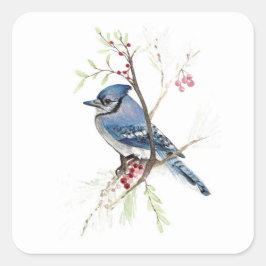 Blue Jay Bird Berries Square Sticker