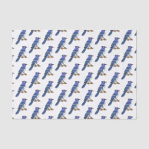 Blue Jay bird Cartoon Seidenpapier