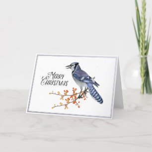 Blue Jay Bird Frohe Weihnachten Berry Silver Natur