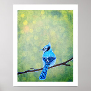 Blue Jay Bird Poster
