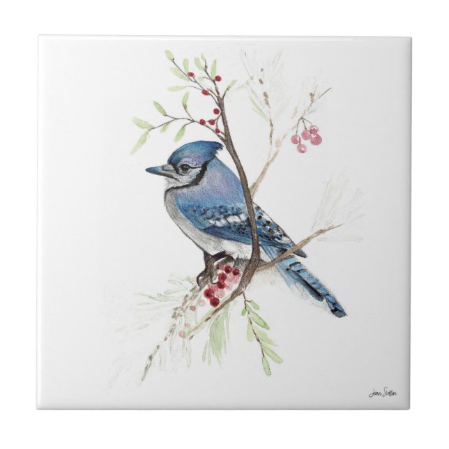 Blue Jay Bird Wasserfarbe Keramik Tile Fliese (Vorderseite)