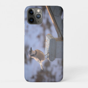 Blue Jay Case-Mate iPhone Hülle