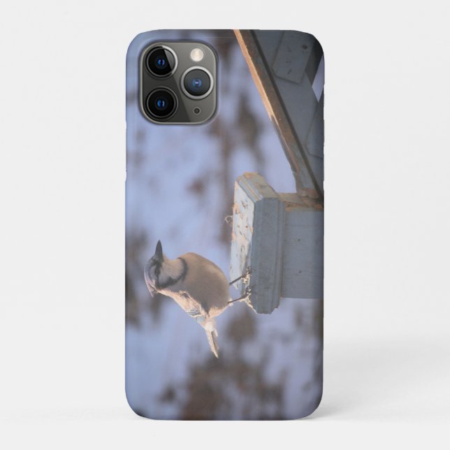 Blue Jay Case-Mate iPhone Hülle (Rückseite)