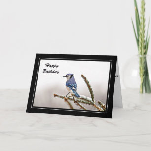 Blue Jay en hiver Carte d'anniversaire