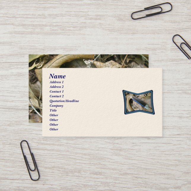 Blue Jay Feather Coordinated Items Business Card Visitenkarte (Vorderseite/Rückseite Beispiel)