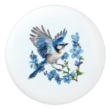 Blue Jay Floral