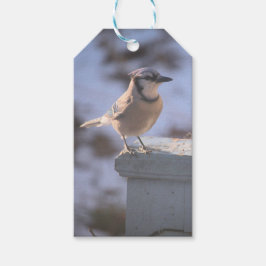 Blue Jay Geschenkanhänger