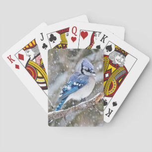 Blue Jay in a Snowstorm Spielkarten