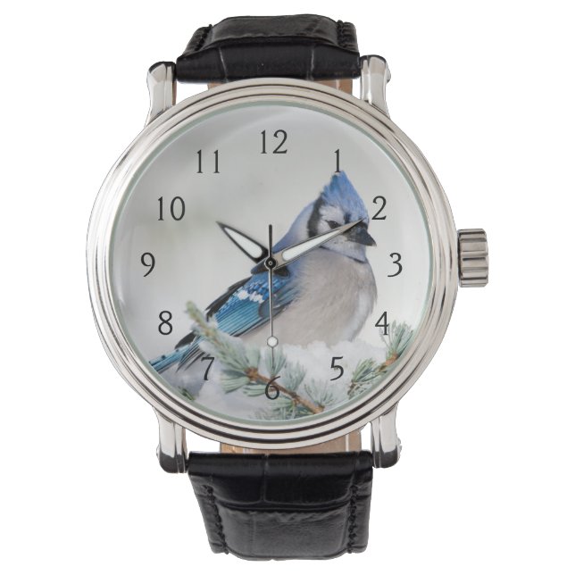Blue Jay in Blue Atlas Cedar Armbanduhr (Vorderseite)