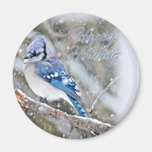 Blue Jay in Snow Christmas Holiday Magnet
