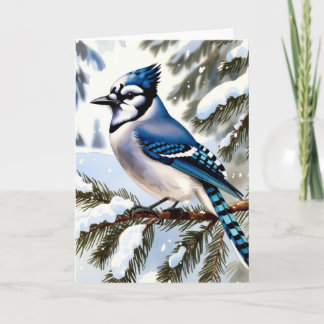 Blue Jay in Snowy Pines Winter Greeting Karte
