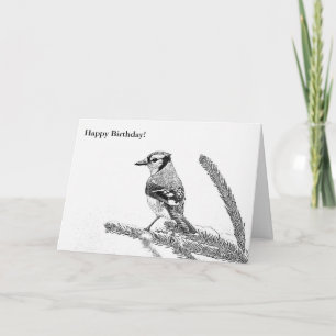 Blue Jay in Winter Sketch Geburtstagskarte Karte