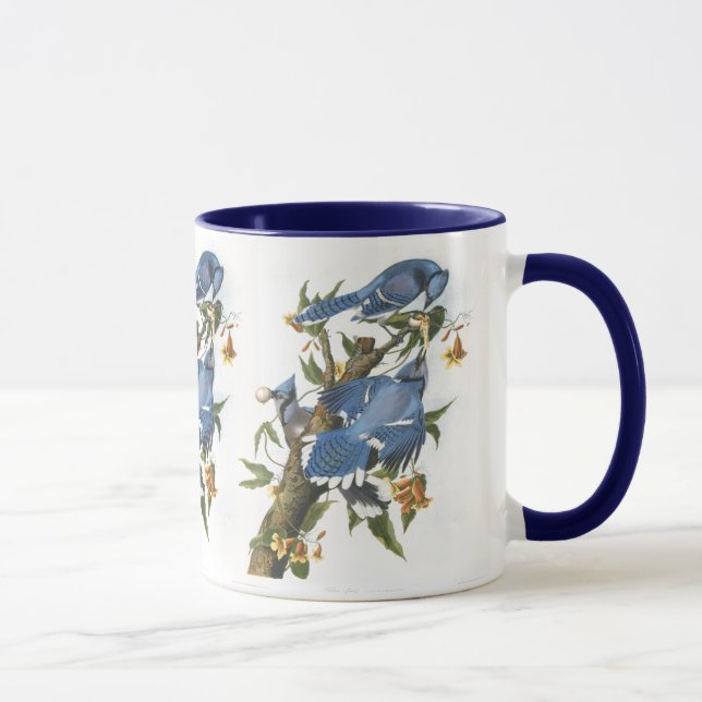 Blue Jay, John James Audubon Tasse (Rechts)