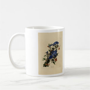 Blue Jay - John James Audubons Vögel in Amerika Kaffeetasse