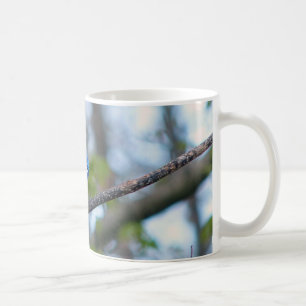 Blue Jay Kaffeetasse