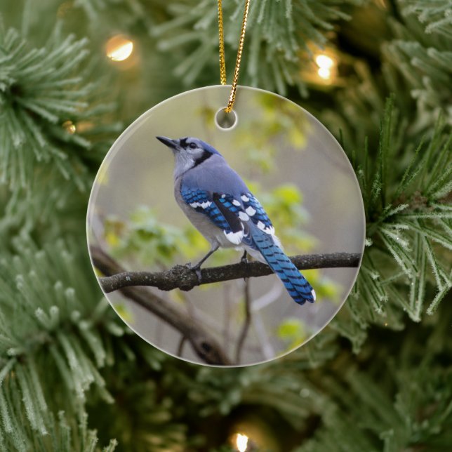 Blue Jay | KERAMIK Keramik Ornament (Baum)