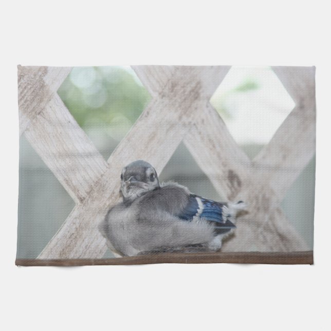 Blue Jay Kitchtuch Geschirrtuch (Horizontal)