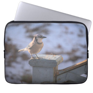 Blue Jay Laptopschutzhülle