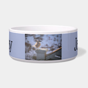 Blue Jay Napf