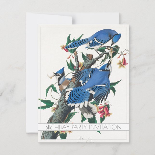 BLUE JAY OISEAU ANNIVERSAIRE FÊTE INVITATION CARTE (Devant)