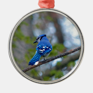 Blue Jay Ornament Aus Metall