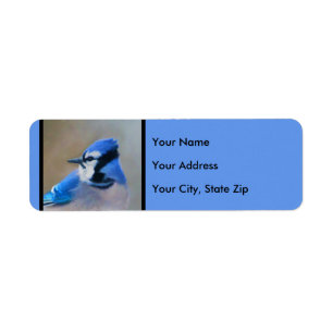 Blue Jay Painting - Original Bird Art