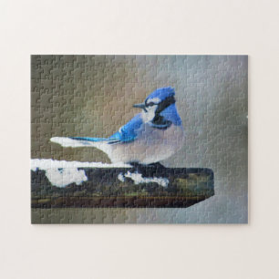 Blue Jay Painting - Original Bird Art