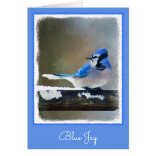 Blue Jay Painting - Original Bird Art