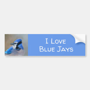 Blue Jay Painting - Original Bird Art Autoaufkleber