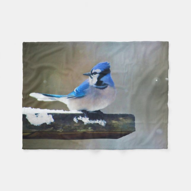 Blue Jay Painting - Original Bird Art Fleecedecke (Vorderseite (Horizontal))