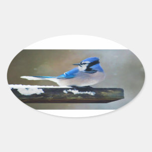 Blue Jay Painting - Original Bird Art Ovaler Aufkleber