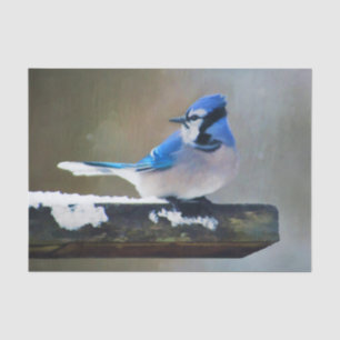 Blue Jay Painting - Original Bird Art Seidenpapier