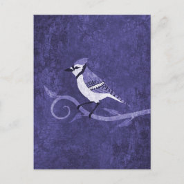 Blue Jay Postcard Postkarte