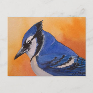 Blue Jay Postcard Postkarte