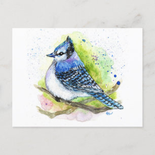 Blue Jay Postkarte