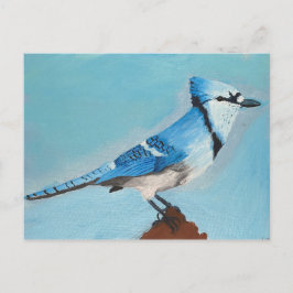 Blue Jay Postkarte