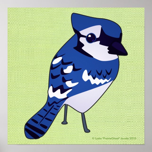 Blue Jay Print Poster (Vorne)