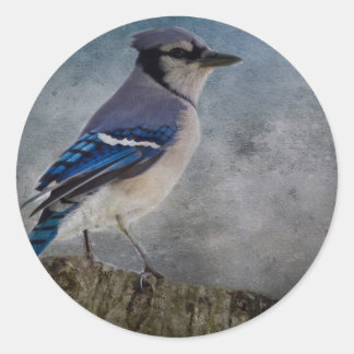 Blue Jay Runder Aufkleber