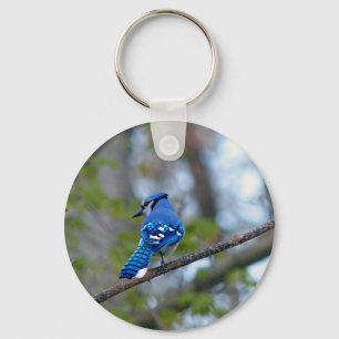 Blue Jay Schlüsselanhänger