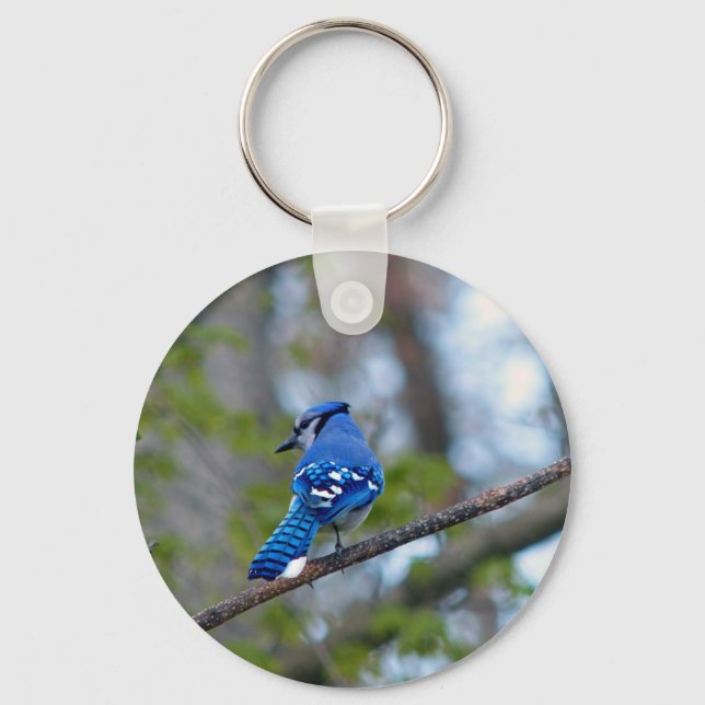 Blue Jay Schlüsselanhänger (Vorderseite)
