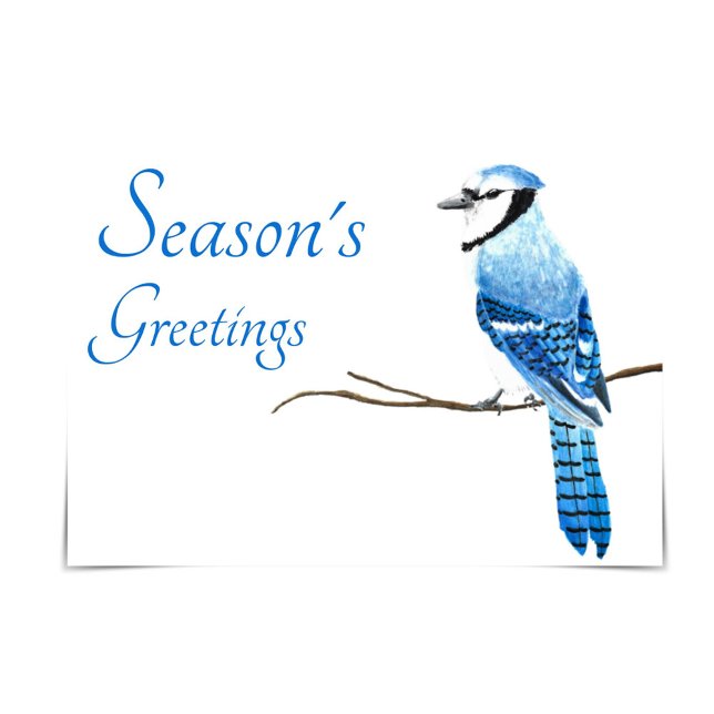 Blue Jay Season's Greetings Watercolor Card Karte (Von Creator hochgeladen)