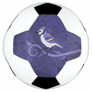 Blue Jay Soccer Ball