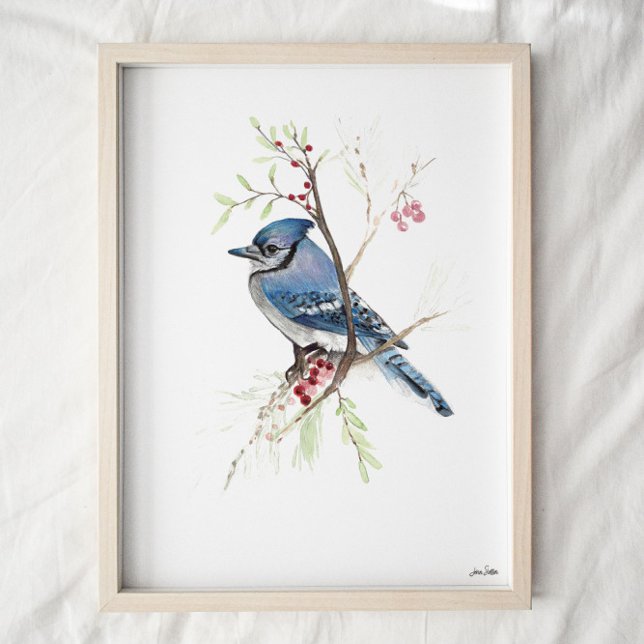 Blue Jay Songbird Aquarellbahn Print Poster (Von Creator hochgeladen)
