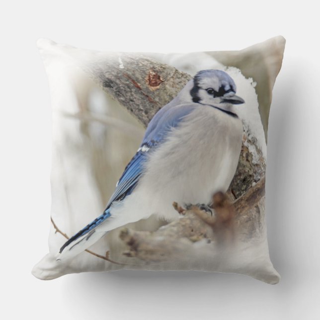 Blue Jay Songbird im Schnee Kissen (Vorderseite)