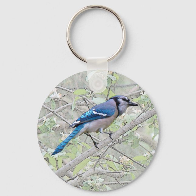 Blue Jay Songbird Schlüsselanhänger (Vorderseite)